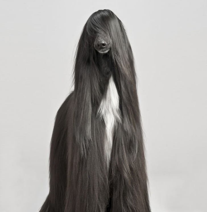 model