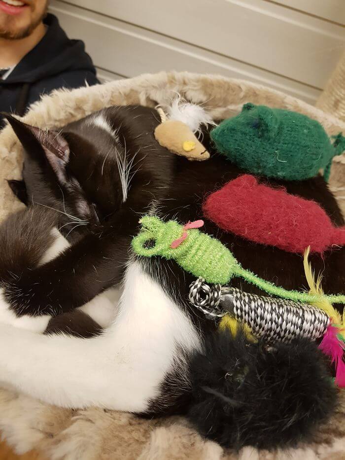 15 Adorable Reasons ‘Why I Hate My Job’