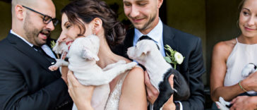 Couple Had a Bunch of Rescue Puppies Instead of Wedding Bouquets at their wedding