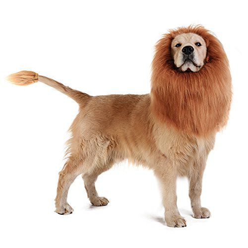 Simba