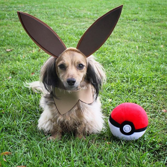 Pokemon