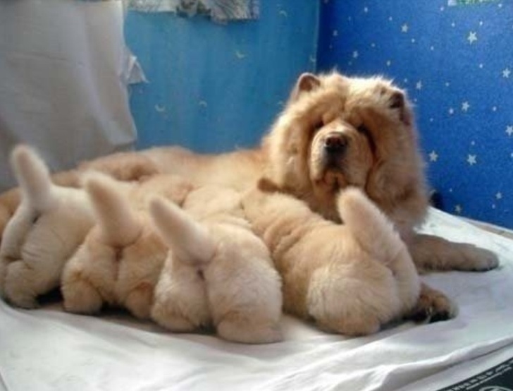 heart melted