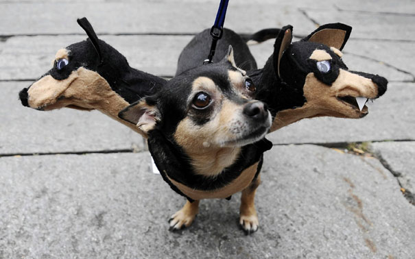 Cerberus