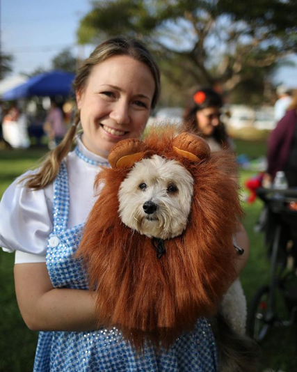 Lion