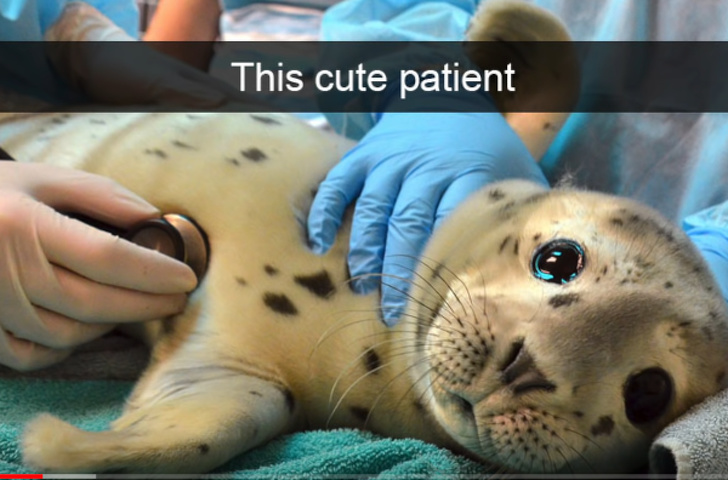 Cutest patient