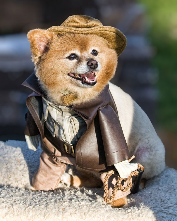 Indiana Bones