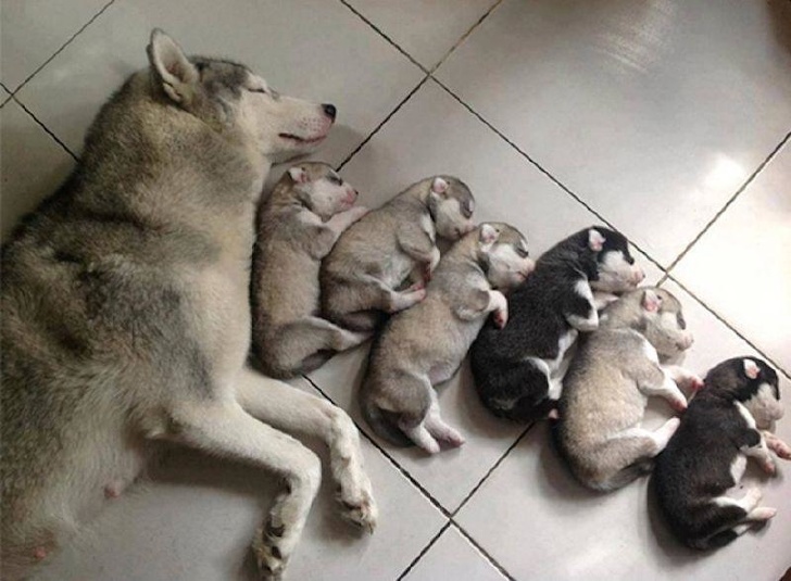 cuteness