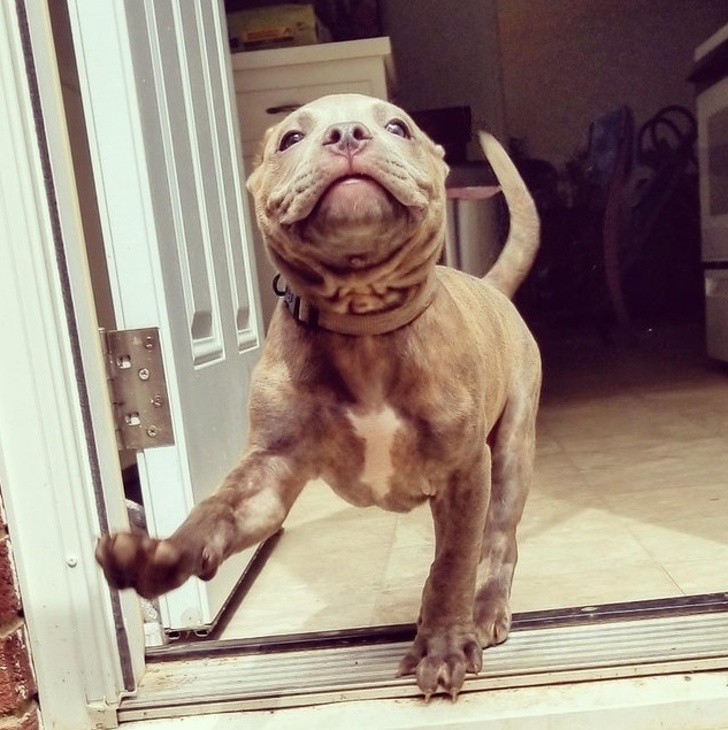 smile face