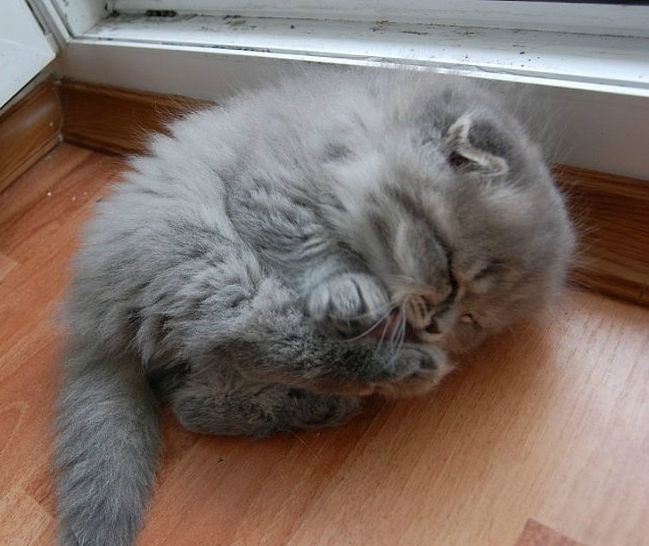 tiny guy