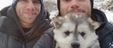 Gus Kenworthy; US Olympic Skier rescued 90 Dogs from Korean dog meat farm