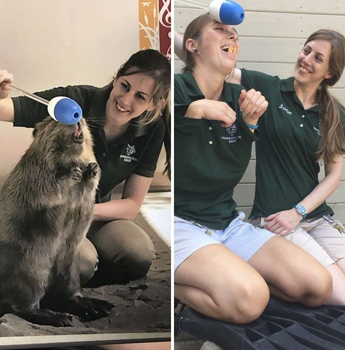 zookeeper volunteers