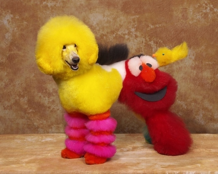 Sesame Street