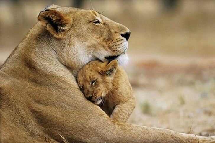 Mother’s hugs