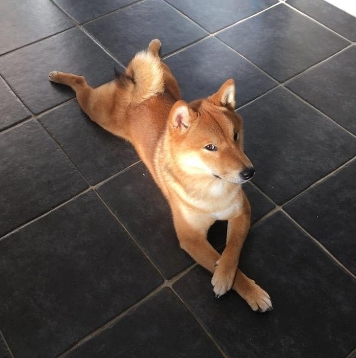 photogenic