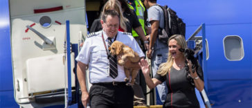 Southwest Airlines help rescue pets from the Hurricane Harvey disaster in Houston