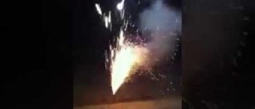 Dog stealing fireworks
