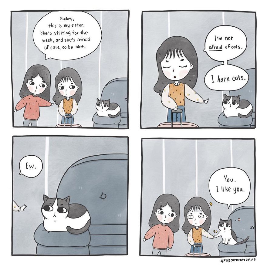 Wholesome comics about a cat named ‘Micky’ and his human ‘Suzy’