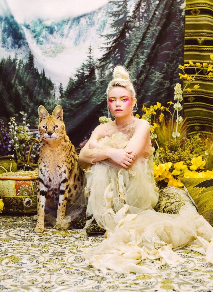 Photographer portrays the beauty of rescued black market animals in majestic photographs