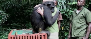 Animal Hugs and Love