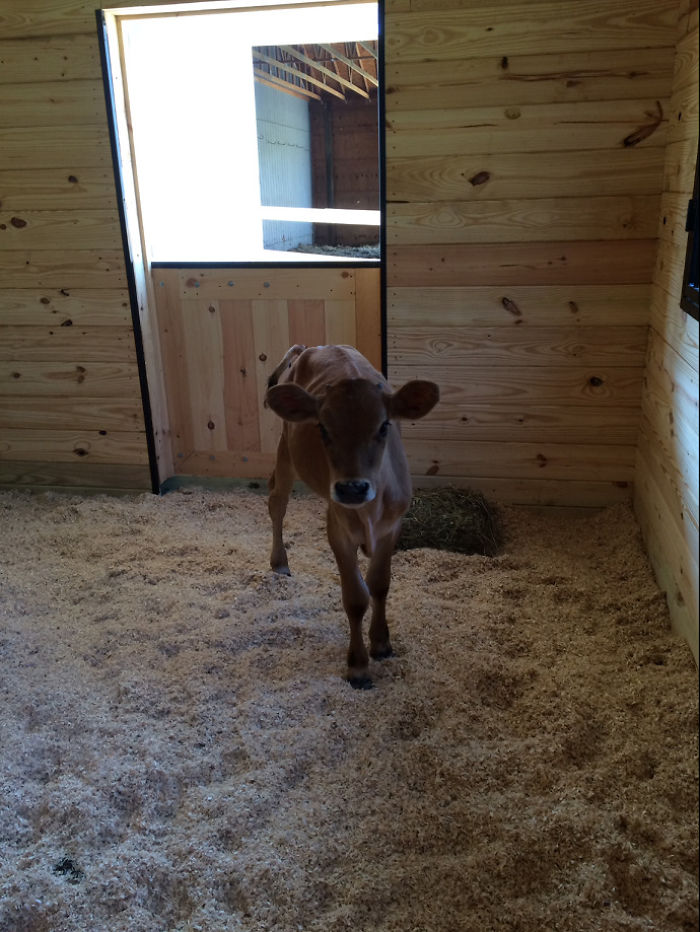 Bobo settling in