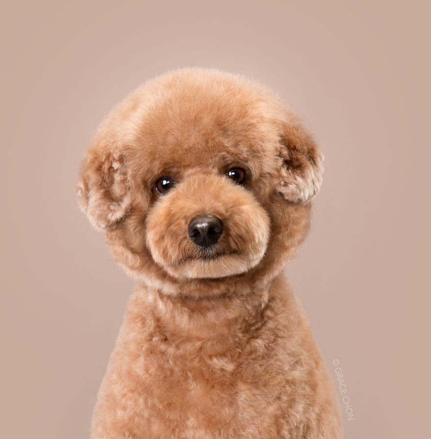 Buddy After