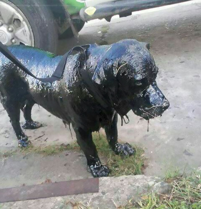 tar