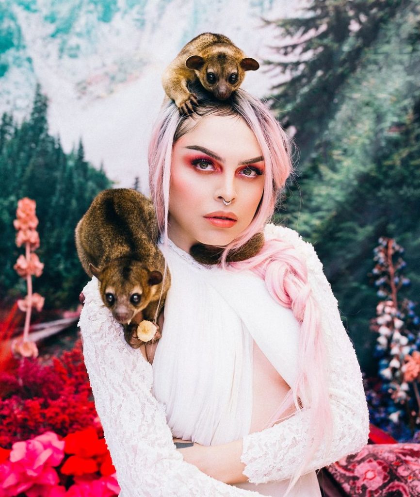 Photographer portrays the beauty of rescued black market animals in majestic photographs