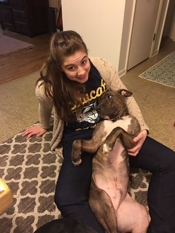 hugging pibble