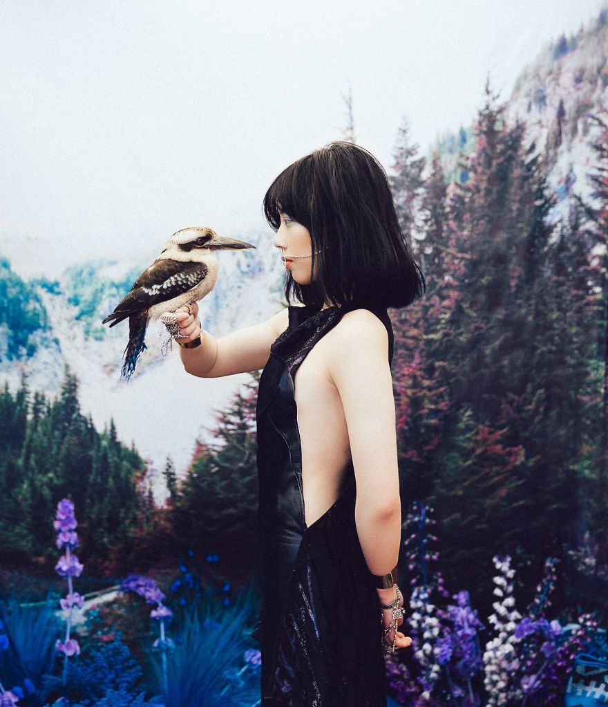 Photographer portrays the beauty of rescued black market animals in majestic photographs