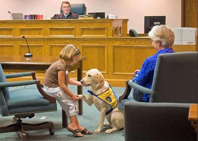 Legal Doggy