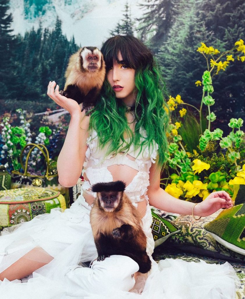 Photographer portrays the beauty of rescued black market animals in majestic photographs