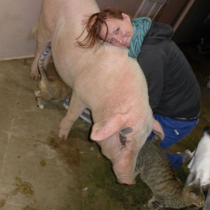 Piggy snuggles