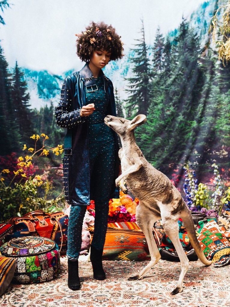 Photographer portrays the beauty of rescued black market animals in majestic photographs