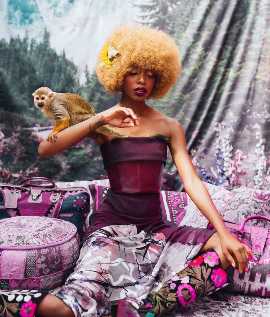 Photographer portrays the beauty of rescued black market animals in majestic photographs