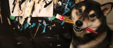 Owners taught Their Shiba Inu to paint and now they have sold paintings worth over $5000