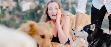 Boyfriend proposes girlfriend with 16 Dogs and her reaction is Priceless