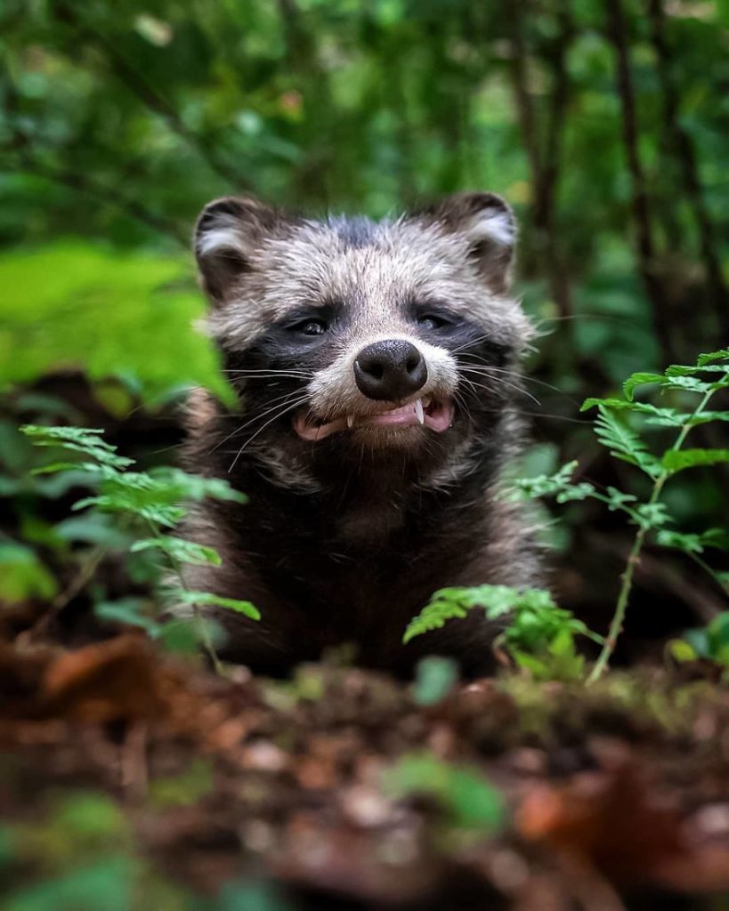 Ossi Saarinen photograph 10