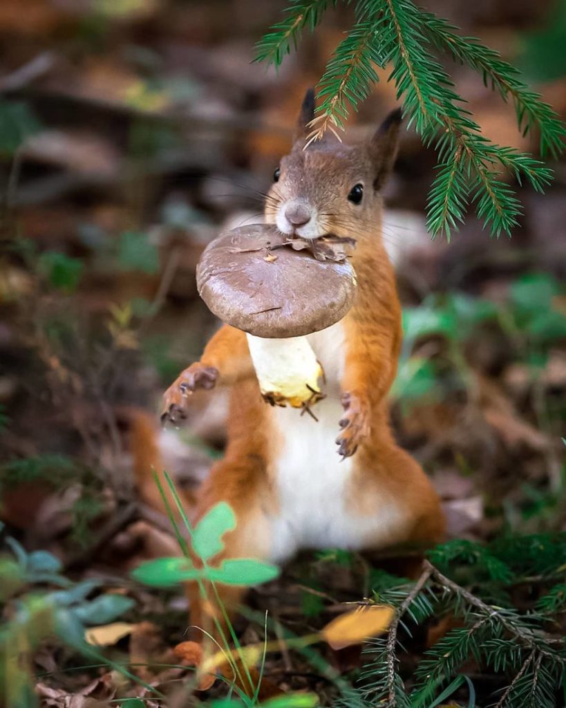 Ossi Saarinen photograph 13