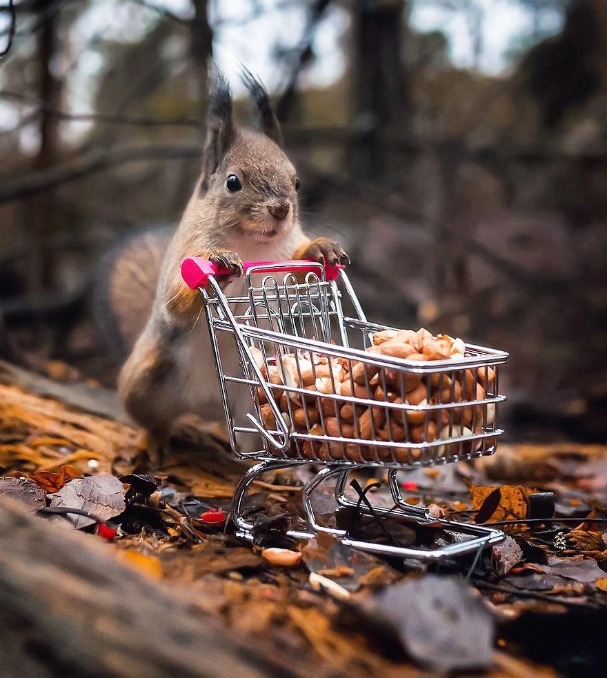 Ossi Saarinen photograph 15