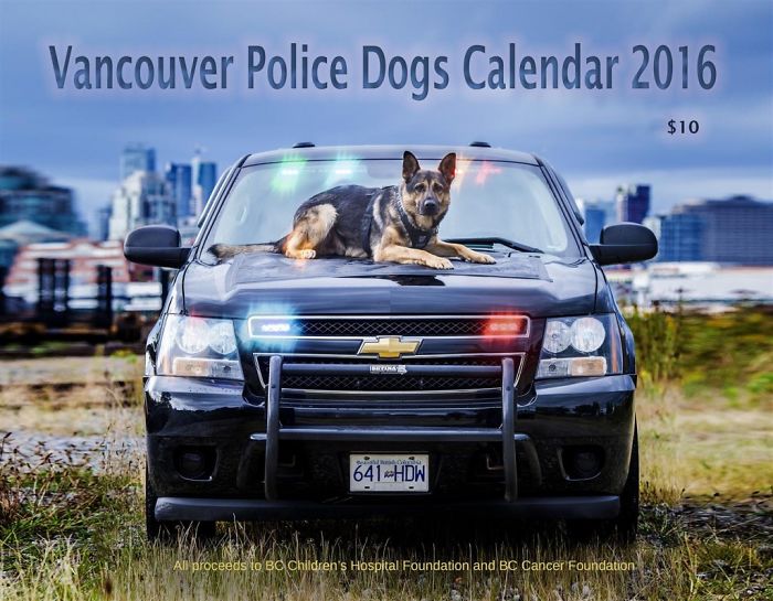 police dog calender 2016