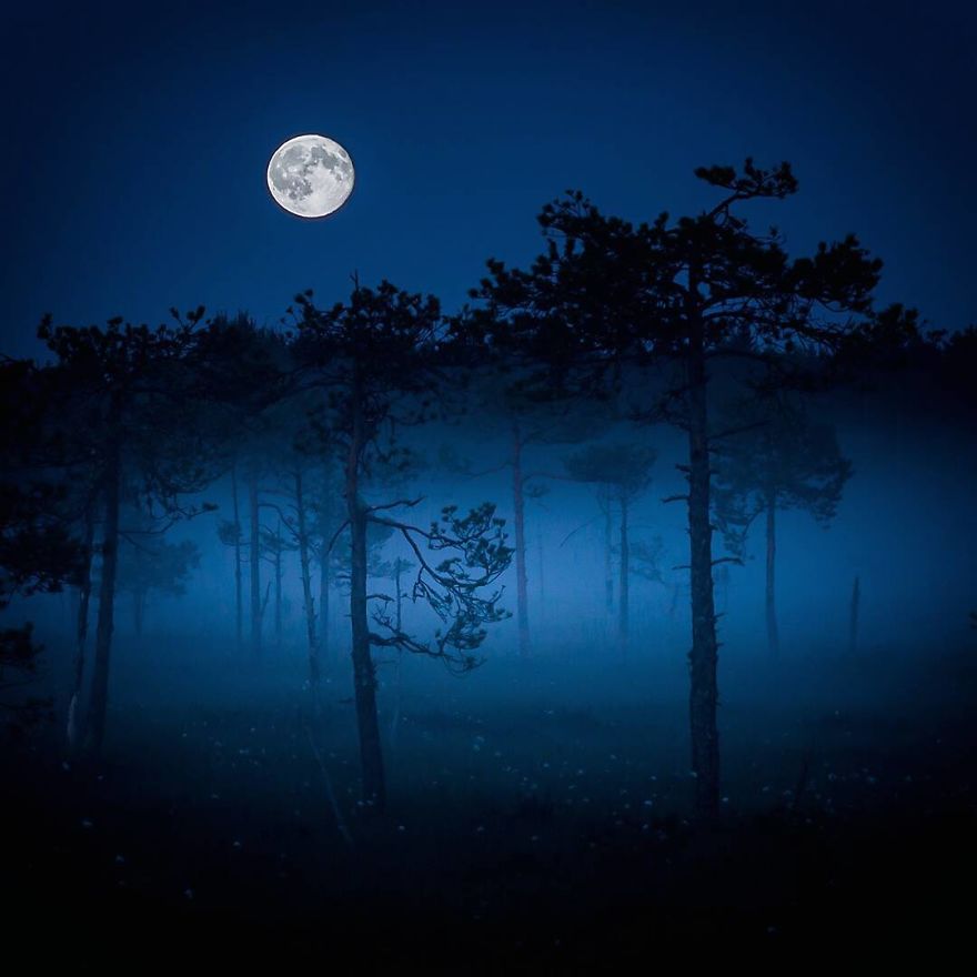 Ossi Saarinen photograph 4