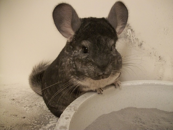 bath