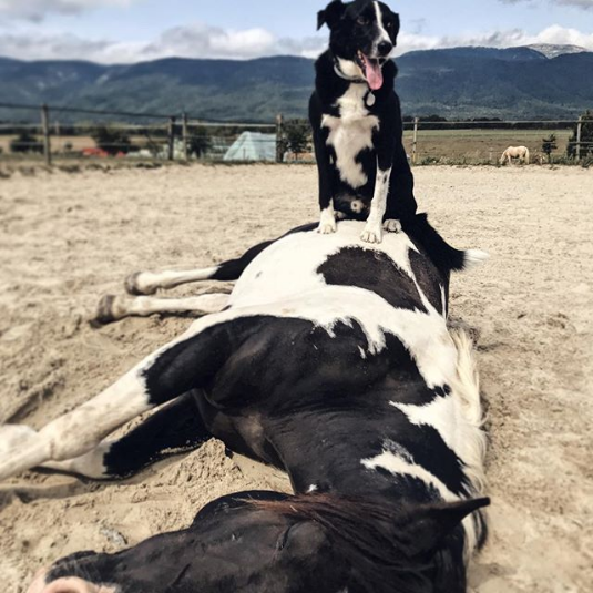 black and white team