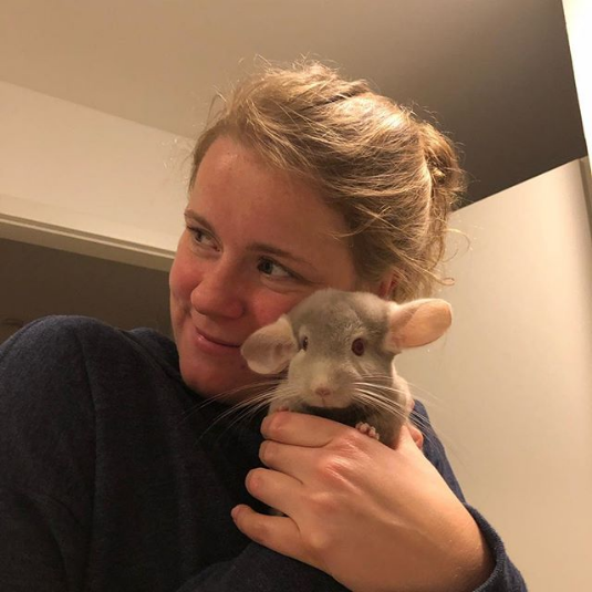 chinchilla