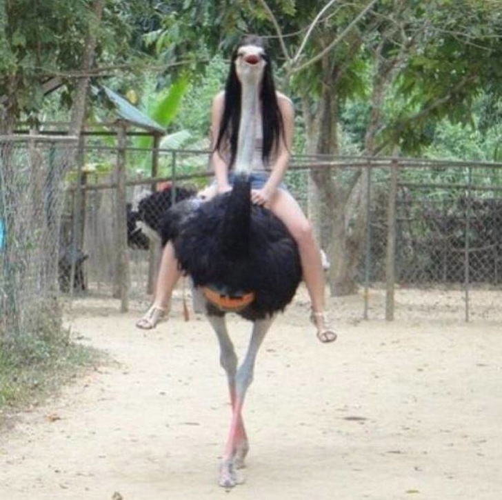 ostrich girl