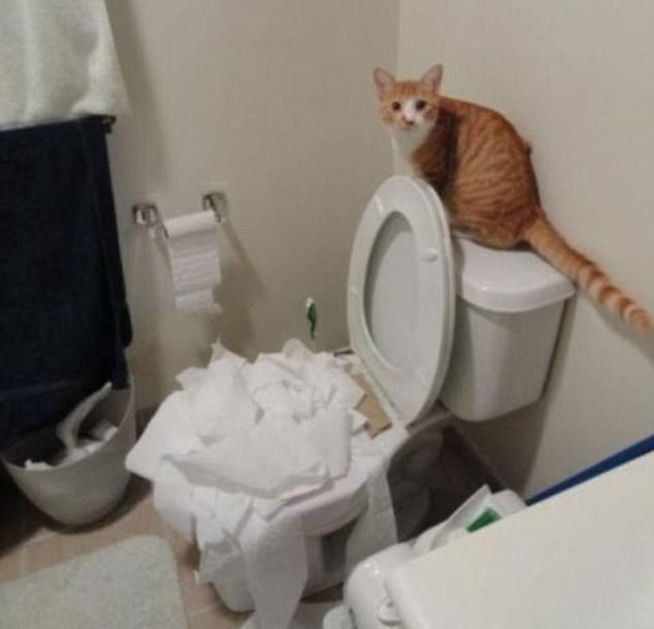 Caught red handed
