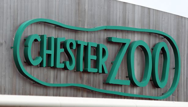 Chester Zoo