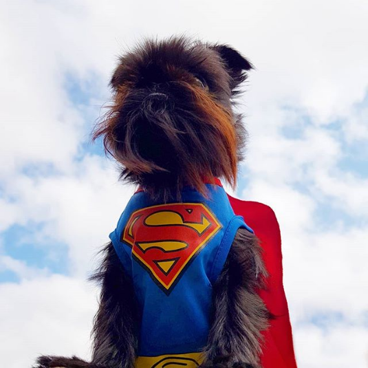 superheroes