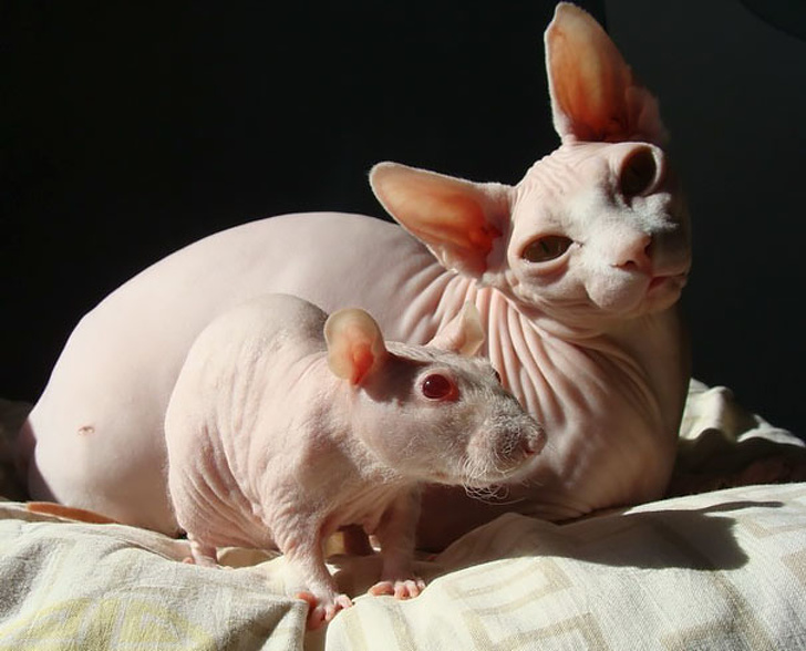 Find the difference.