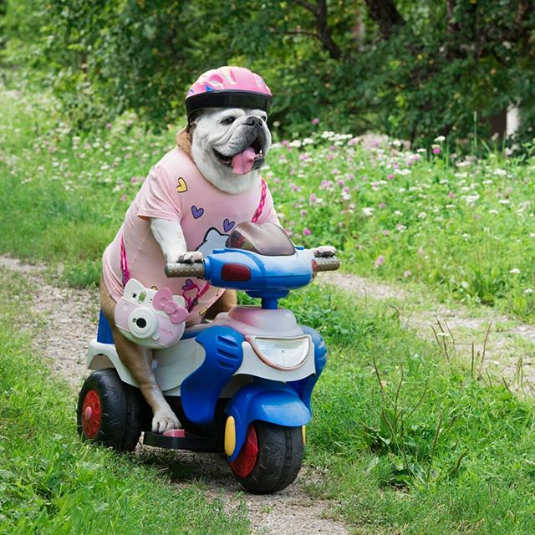 driver